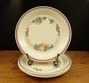 4 Corelle Adundance Mittagessen Mittagessen Teller 8 1/2" - Bild 1 von 16