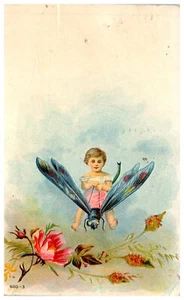 Postal Fantasía Niño Cabalgando Libélula Voladora Insecto Sobre Flores Rosas 1912 - Imagen 1 de 3