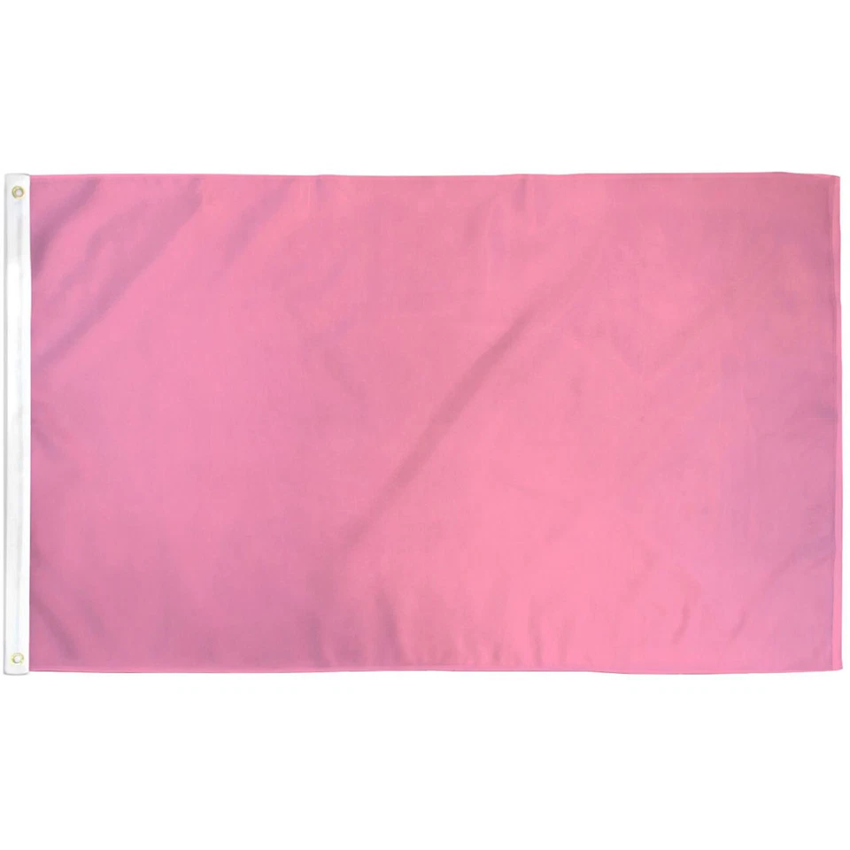 PINK SOLID 3'X 5' POLY FLAG - Image 1 of 1
