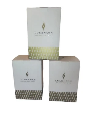 Lote de 3 Luminara Berry Outono Abóbora Ornamento Efeito Sem Chama Vela Tealight  - Imagem 1 de 4