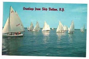Vintage Unused Postcard Greetings from Ship Bottom New Jersey NJ Sail Boats - Picture 1 of 2