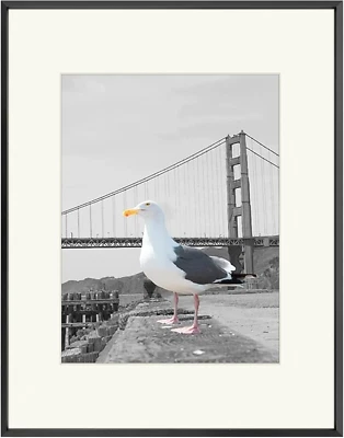 , Marco de fotos de metal 16X20 con tapete para imagen de 11X14 y vidrio real, pH de aluminio Foto 1 de 4