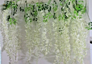 11er Set weiße WISTERIEN / DOGWOOD GRANLAND REBEN ~ Neu (tk) - Bild 1 von 7