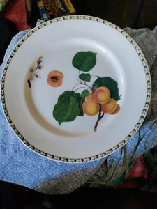 Rosina Queen's Hookers Fruit Apricot Flowers Trim White Dinner Plate Replacement - Picture 1 of 3