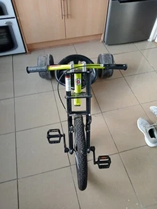 tricycle adult - Picture 1 of 5