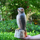 Hawk Hunting Decoy Statue Garden Ornamental Scare Redtailed Falcon Pest