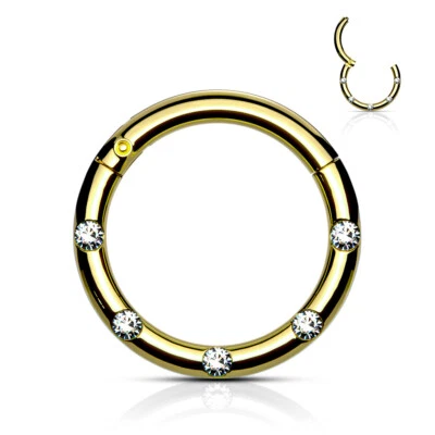 CZ Flush Set Front Facing 16G 316L Surgical Steel Hinged Segment Septum Ring - Image 1 of 2