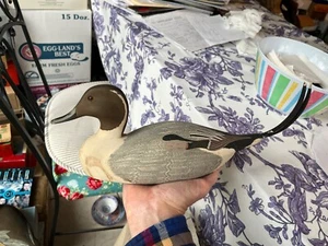 old painted wood duck decoy pin tail pintail as found in NJ - Picture 1 of 24
