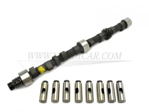 Volvo 552430 Nockenwelle Typ R inkl. Stößeln  544 210 Amazon P1800S 140 B18 B20 - Picture 1 of 1