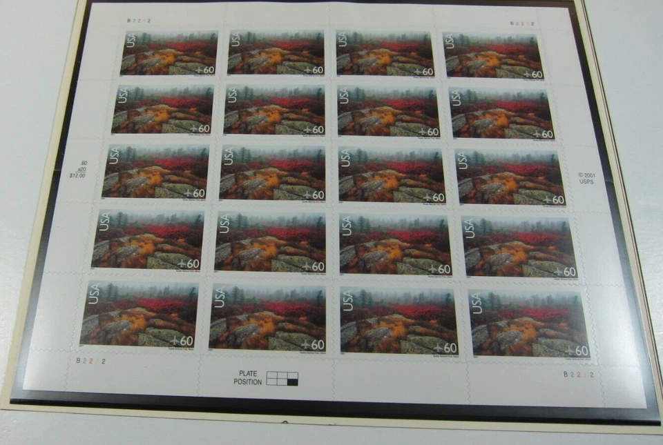 2001 60c Acadia National Park U.S. Air Post Stamp Pane of 20 Stamps Scott # C138 - Image 1 of 1