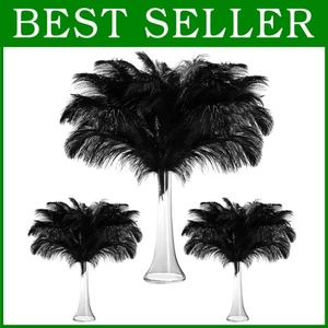 Surtido versátil de plumas de avestruz - Imagen 1 de 8