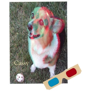 Cassy (Perro) - Tarjeta de felicitación Phantogram - con gafas 3D - Único 3D - NUEVO - Imagen 1 de 4