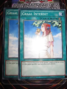 YU-GI-OH! COM GRAAL INTERDIT  LOT DE 2 (PLAYSET) WIRA-FR053 NEUF EDITION 1 - Picture 1 of 1
