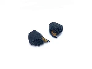 1/6 Scale Hot Toys MMS190 AVP Alien vs Predator Scar Predator Toy Figure - Fists - Picture 1 of 5