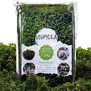 Usmola Fake Moss Artificial Green Moss for Potted Plants Fairy Garden Access - Picture 1 of 7