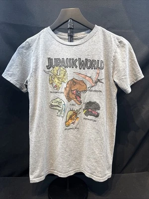 Jurassic Park Boys Large Grey Short Sleeve Dinosaurs T-Shirt - Image 1 of 4