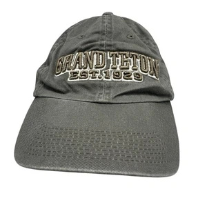 Grand Teton Est. 1929 Gray Baseball Cap Hat Shirt Off My Back Gray 100% Cotton - Picture 1 of 7