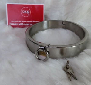 Stainless Steel Collar w/ Brass Lock Joint & Ring available in two sizes, BDSM - Picture 1 of 5