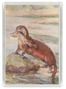 OTTER WILDLIFE NATURE BEAUTIFUL NOVELTY FRIDGE MAGNET GREAT GIFT - Picture 1 of 1