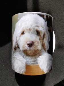 Cup With A Print Of A Beige Coloured Poodle Dog Face.   - Picture 1 of 1