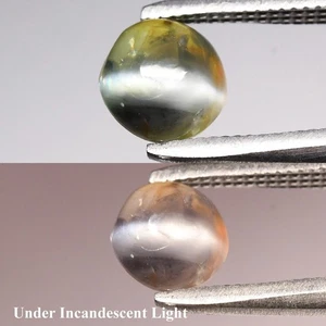 💎 1.00ct Oval Cabochon Natural Green Cat's Eye Alexandrite - Russia Gemstone - Picture 1 of 6