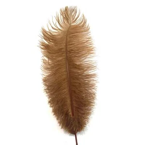 Ostrich Drab Feather 27-32cm - Rust Brown *Seconds* Pack of 5 - Imagen 1 de 3