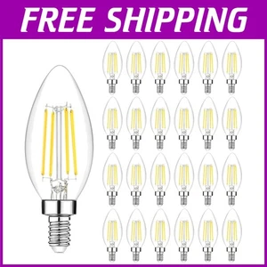 Energy Efficient Vintage Chandelier Light Bulbs 24-Pack - Picture 1 of 8