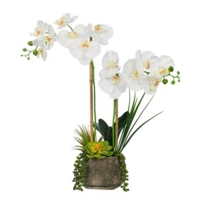 Vanity Art Artificial Phalaenopsis Orchids W/Succulent Floral Arrangement in Pot - Picture 1 of 7
