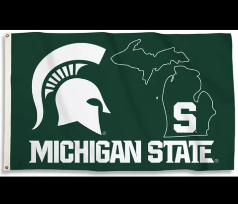 Michigan State SPARTANS Rare State-Outline-Style Free Shipping. USA Seller!!! Cover
