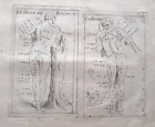 18Thc French   Drawing The Borghese Faun   Attr Cochin
