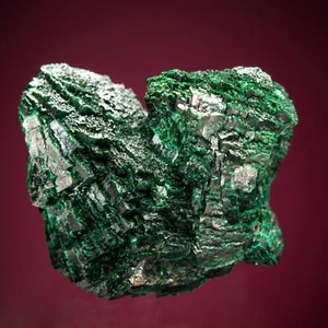 Melanson TN Collection Malachite Tsumeb Mine, Otjikoto Region, Namibia 1212-3549 - Picture 1 of 5
