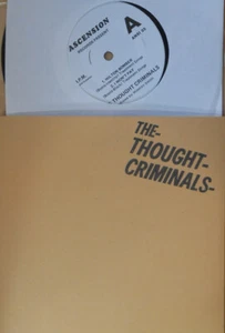Thought Criminals OZ Reissue EP Hilton Bomber Mint 2006 Ascension DTDT1 Punk - Picture 1 of 1