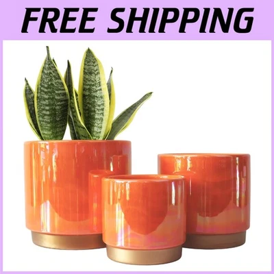 Succulent Orchid Flower Pots - Indoor Outdoor Planters - Image 1 of 2