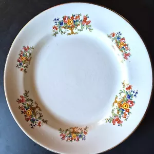 Alfred Meakin Plate England Floral Vintage Dinnerware 23cm - Picture 1 of 6