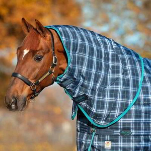 Rhino Original 150g Stable Neck Hood - Navy Check/Teal - Picture 1 of 1