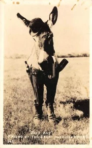 RPPC "Jack Ass" Great American Desert Donkey Dressed In Hat ca 1940s Postcard - Bild 1 von 1