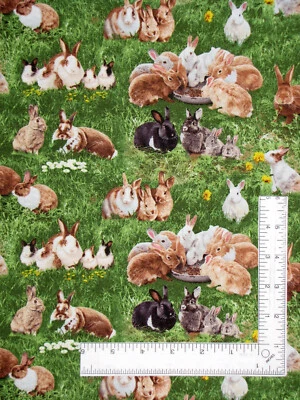 Conejitos de tela de conejo animal en algodón hierba verde Elizabeths Studio por yarda Foto 1 de 2