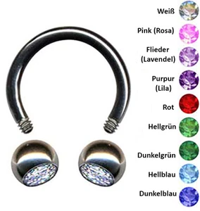 PIERCINGO SET TITAN HUFEISEN NASE ZIRKONIA KRISTALL LIPPE INTIM OHR BRUST SEPTUM - Picture 1 of 2