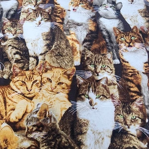 Packed CAT CRAZY Kittens Tabby COTTON Fabric Quilt Craft Robert Kaufman 1 yd - Picture 1 of 7