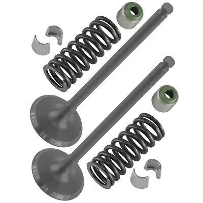 2x Kit de válvula de admisión para Yamaha WR250F 2002-2006 / 5NL-12112-10-00 5NL121121000 Foto 1 de 4