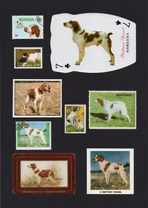BRITTANY SPANIEL MOUNTED SET VINTAGE DOG COLLECTABLE CARDS STAMPS AND BANDS - Picture 1 of 1