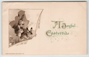 Postcard Easter 1912 John Winsch A Joyful Easter with Rabbits - Picture 1 of 2