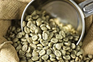 12 libras granos de café verde grado especial Brasil Cerrado - Imagen 1 de 3