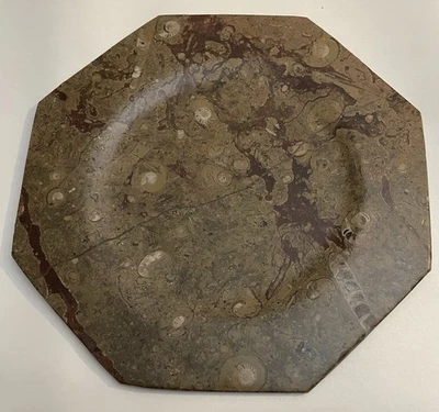 Plato octogonal fósil piedra amonita plato queso charcutería Foto 1 de 4