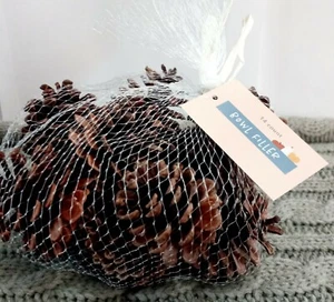 Target Bullseye Playground Table Decor Vase Filler Bag of Pinecones  - Picture 1 of 6