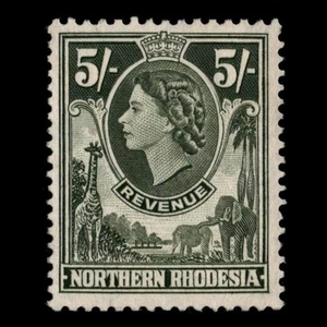 R22 NORTHERN RHODESIA Revenue 5/- QUEEN ELIZABETH II Cut Cancel SEE PHOTOS O-638 - Picture 1 of 1