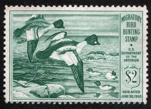 US Sc RW16 Bright Green $2.00 1949 MNH Original Gum Federal Duck - Picture 1 of 1