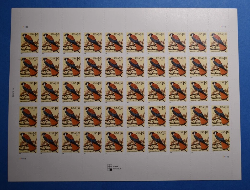 USA 1 Cent American Kestrel Bird Stamp Sheet Block of 50 Stamps MNH - Image 1 of 1