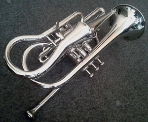 Eco Cornet Nickel - Lightweight Studio Musical with Hard Case & Mouthpiece echo - Picture 1 of 2