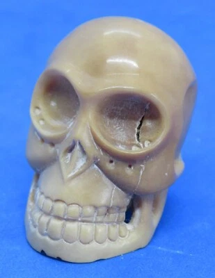 Japanese carved nut vintage Victorian Meiji Period oriental antique skull netsuk - Image 1 of 4